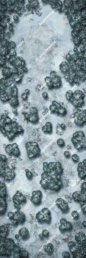 Northern Forest - Single (jpg, webp, webm)